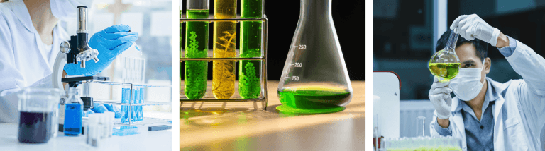 Où étudier la Biotechnologie au Maroc ?