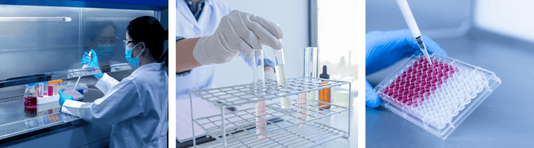 La biotechnologie, c’est quoi ?