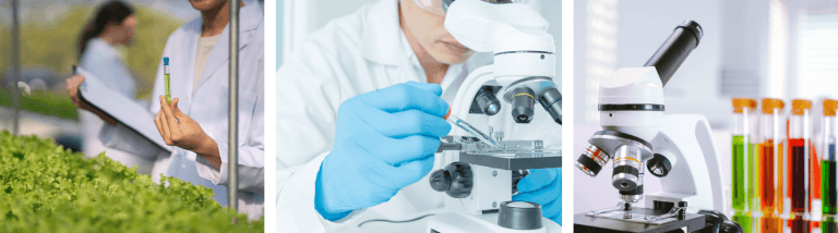 Quel est le salaire d&rsquo;un Biotechnologue ?