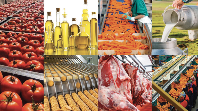 L&rsquo;Agroalimentaire : Le Vrai Game de la Sécurité Alimentaire au Maroc