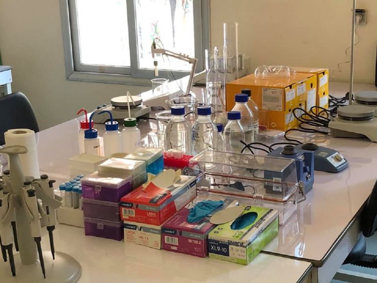 Biotechnologie : L&rsquo;Innovation pour la Résilience au Burkina Faso | Licence & Master EHEB