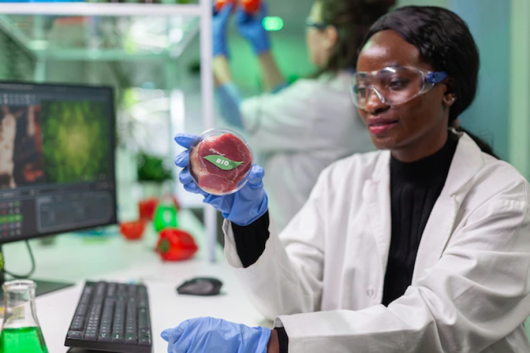 Biotechnologie : La Réponse aux Défis du Niger | Licence & Master EHEB