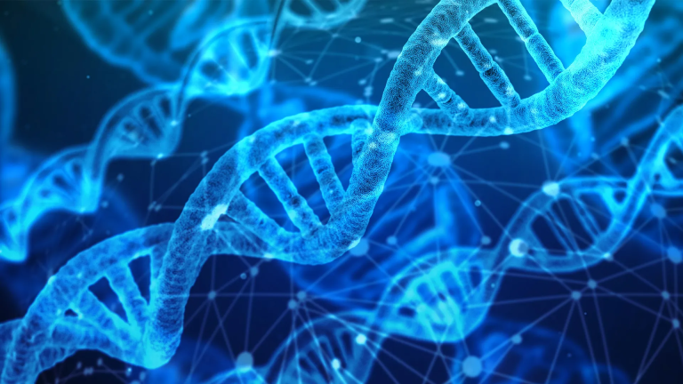 Bioinformatique : Le Code qui Déverrouille l&rsquo;Avenir de la Biologie 🧬