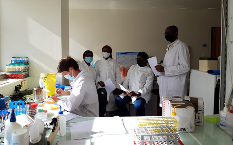 Le Sénégal Émergent : Quand la Biotechnologie Accélère le Progrès National