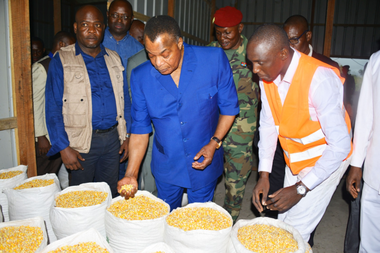 Congo 🇨🇬 : Diversification, Standardisation et Sécurité Alimentaire