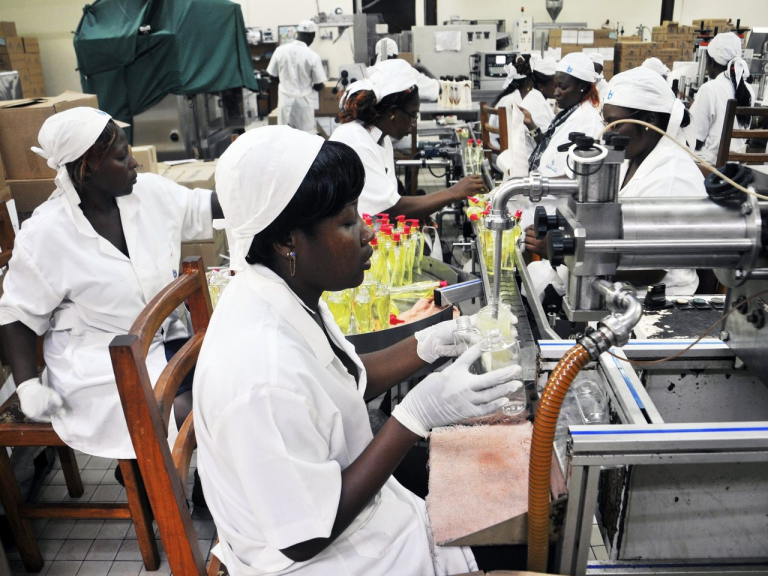 RDC 🇨🇩, Pulmon de la Planète : Devenez Ingénieur Cosmétique pour la Valorisation de la Biodiversité