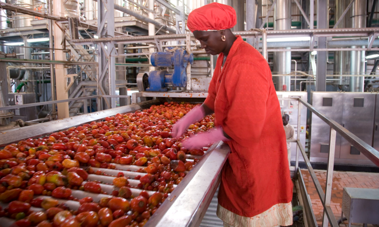 Sénégal 🇸🇳, Pays de la Teranga : L&rsquo;Agroalimentaire au Cœur du PSE