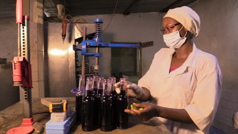 Mali 🇲🇱 : Sécurité Alimentaire, Transformation Céréalière et Résilience Agro-Industrielle