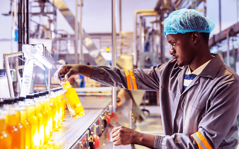 Burkina Faso 🇧🇫 : Industrialisation, Qualité et Valorisation des Filières Locales