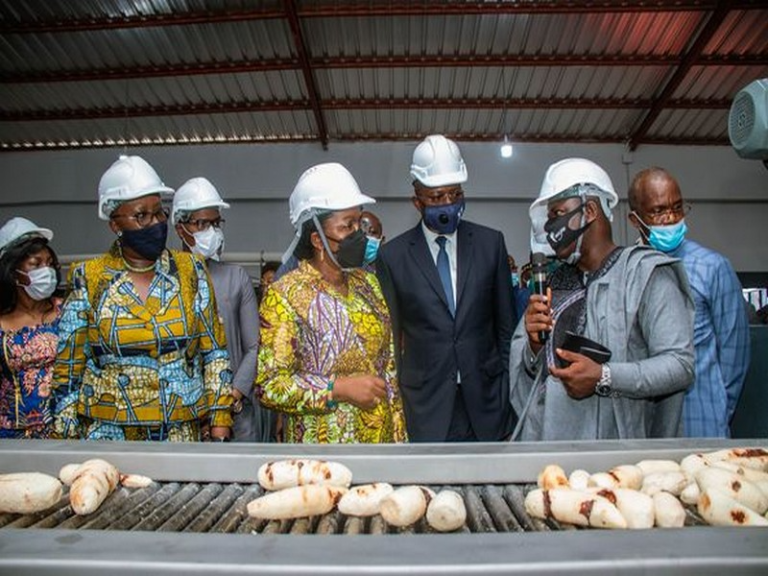 Togo 🇹🇬, Pays des Éperviers : L&rsquo;Agroalimentaire au Cœur de la Transformation Locale