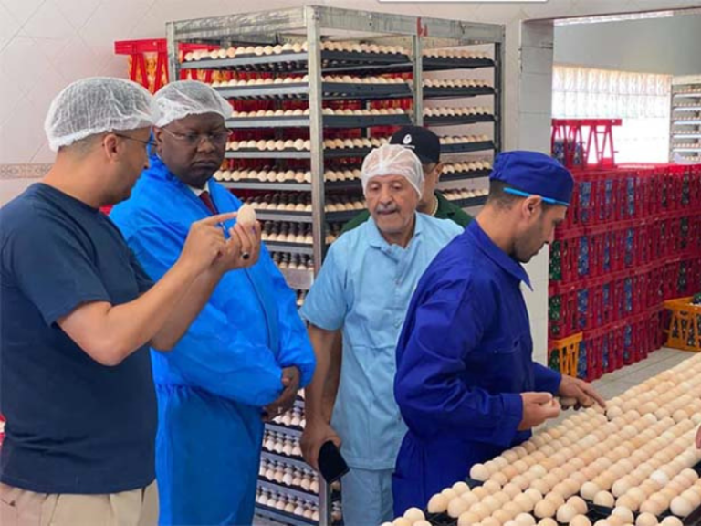 Gabon 🇬🇦, Cap sur la Diversification : L&rsquo;Agroalimentaire, Nouvelle Richesse