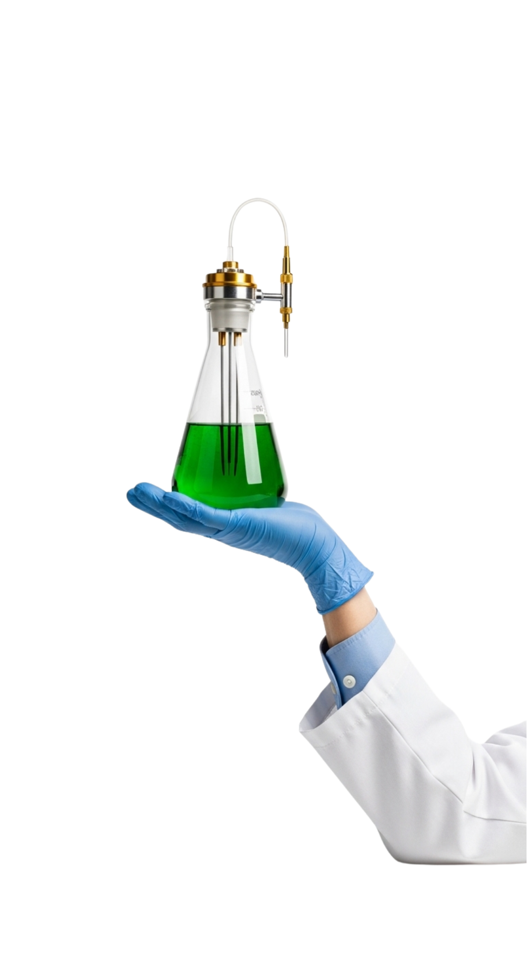 Biotechnologie Médicale et Bioinformatique